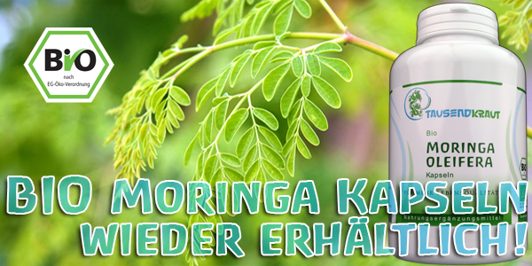 BIO Moringa Kapseln