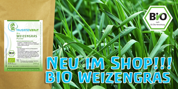 weizengras_neuseeland